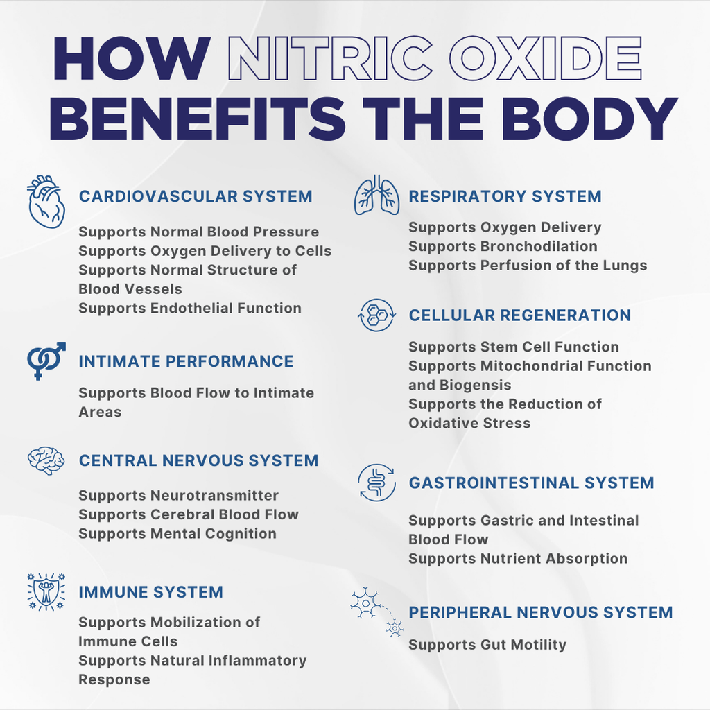 N.O. Beetz Nitric Oxide Supplement