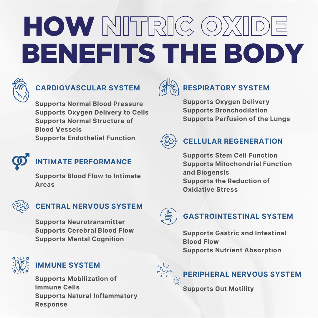N.O. Beetz Nitric Oxide Supplement