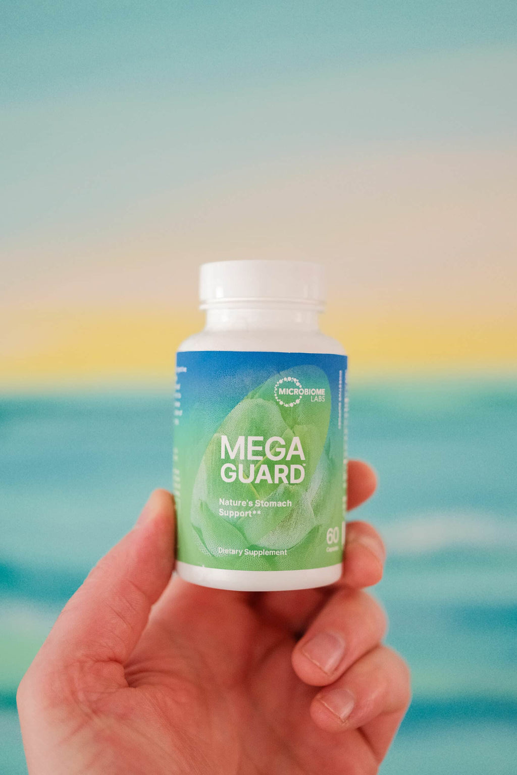 MegaGuard